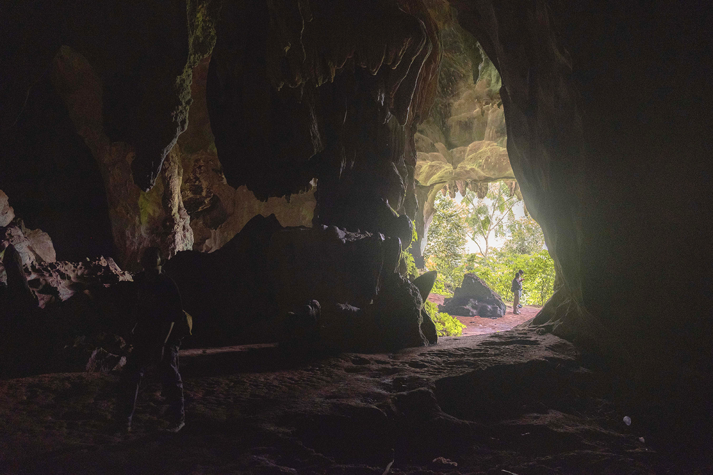 Keong Darat Endemik Sumatera Selatan, Spesies Baru yang Terabaikan