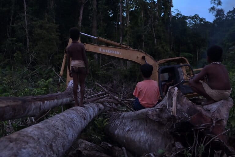 Chandra Sembiring, Ketika Kemanusiaan Bertemu Sinema Alam