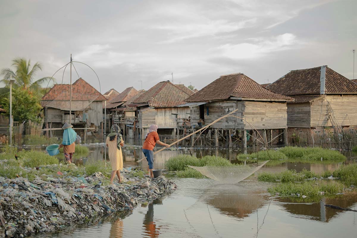 Mikroplastik, Ancaman Baru Kucing Bakau di Lahan Basah