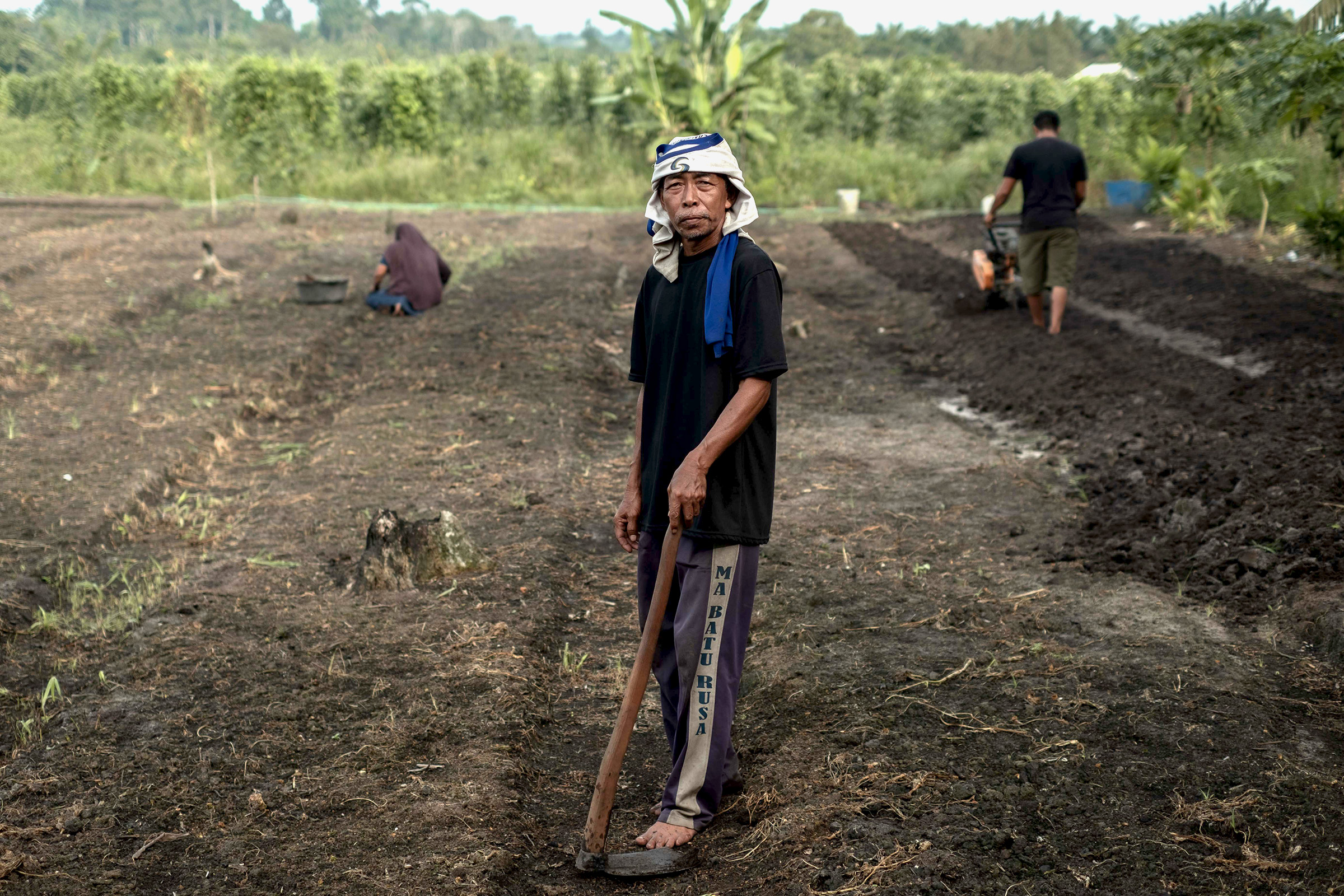 Menghidupkan Kembali Tradisi Menanam Sayur di Bangka Belitung