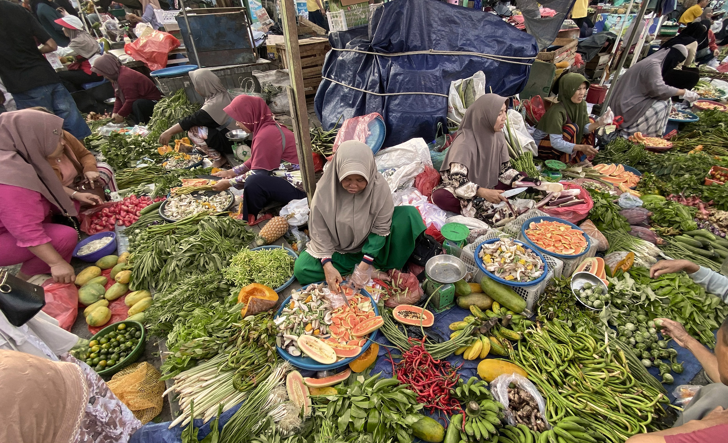 Menghidupkan Kembali Tradisi Menanam Sayur di Bangka Belitung