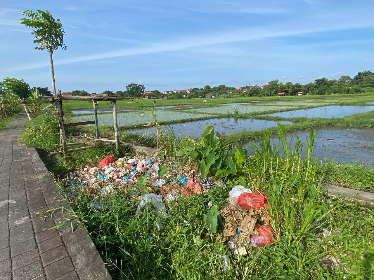 Karut Marut Urus Sampah, Eks Kadis Lingkungan Bali Terjerat Pidana