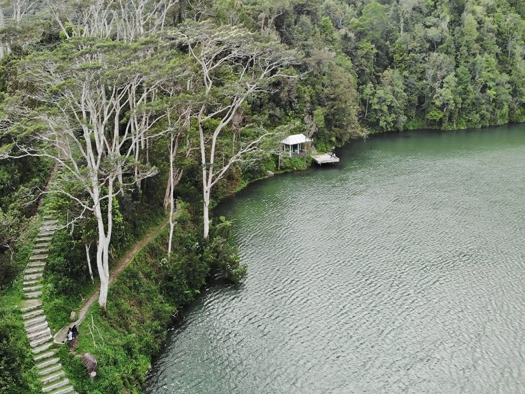 Hakim Ruteng Bebaskan Yohanes Flori dari Jerat Hukum Rusak Hutan