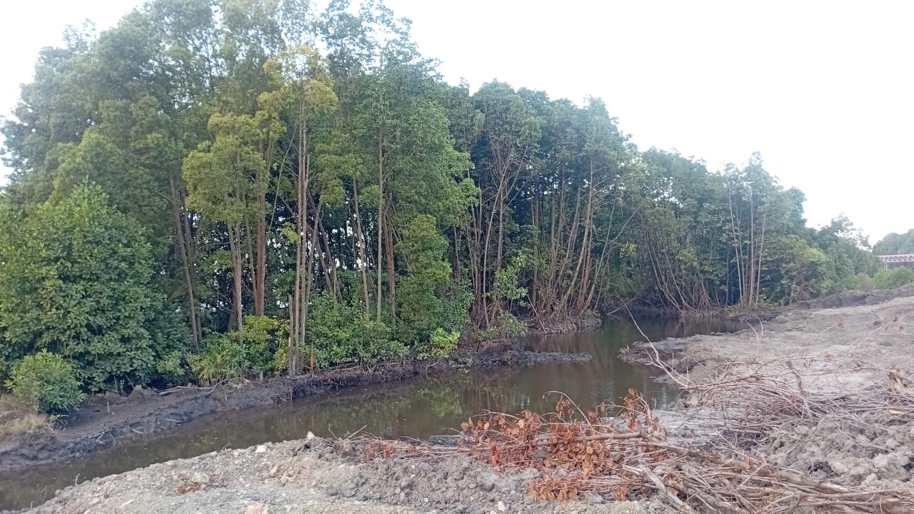 Mengenang Kejayaan Nelayan Kepiting Sebelum Industri Nikel Datang ke Konawe