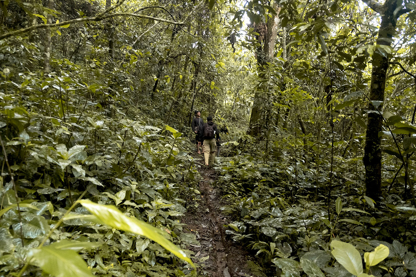 Mencari Jejak Jalur Garam di Besemah
