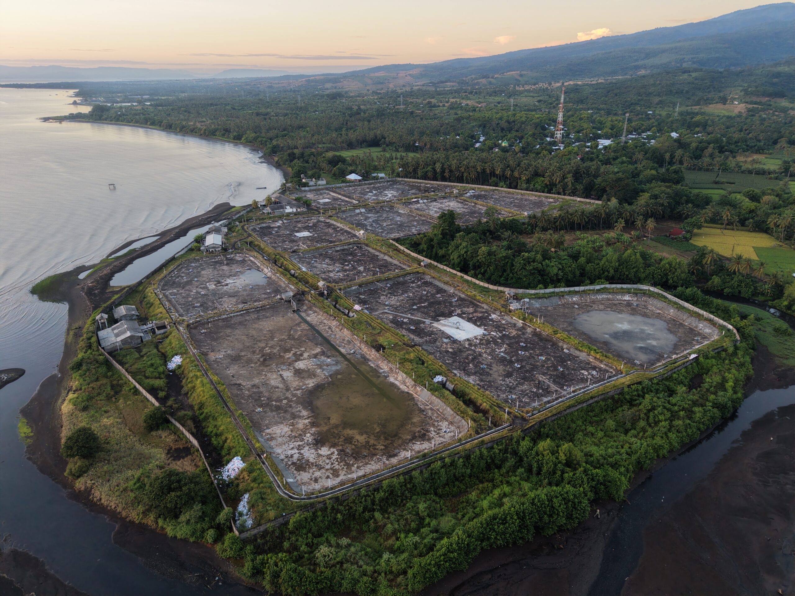 Nasib Kepiting Bakau Lombok di Tengah Himpitan Tambak