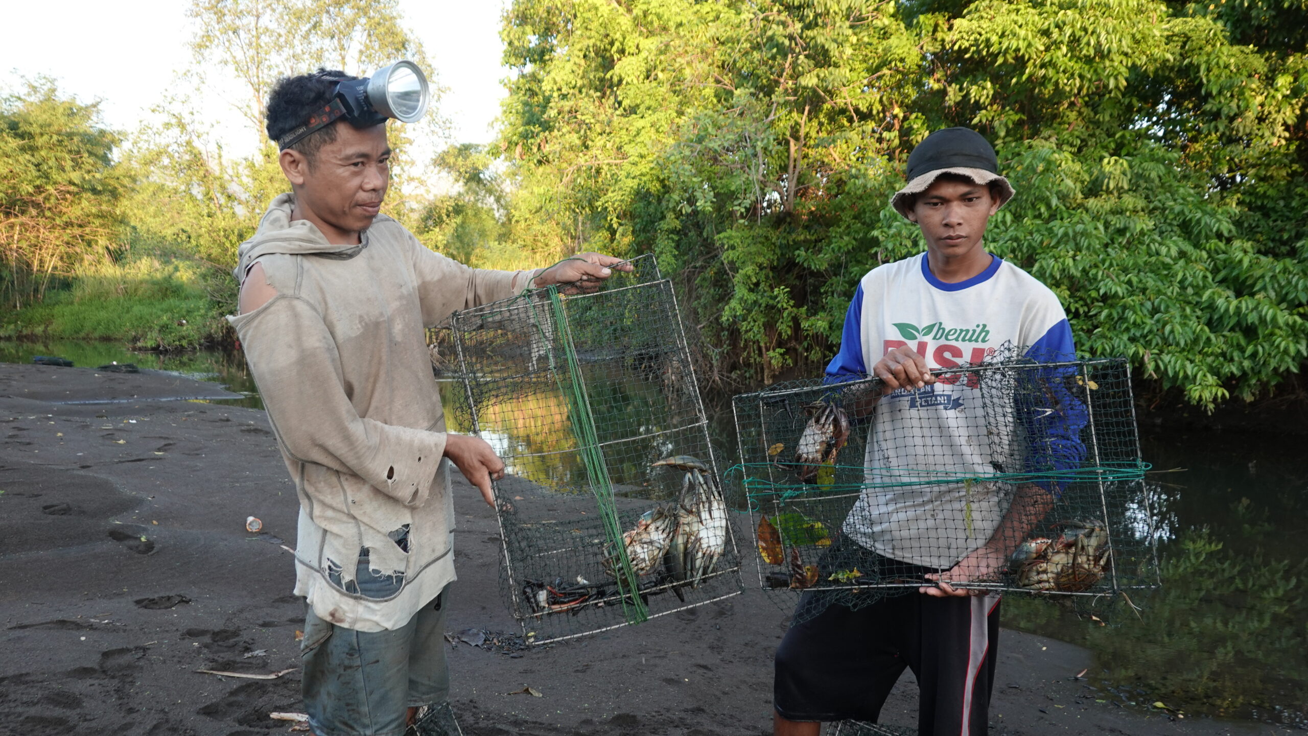 Nasib Kepiting Bakau Lombok di Tengah Himpitan Tambak