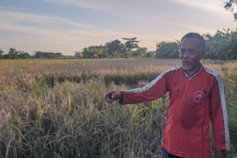 Petani Kian Limbung Ketika Limbah Cemari Sungai Ciujung