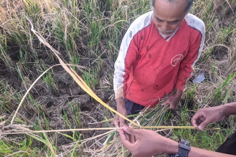 Petani Kian Limbung Ketika Limbah Cemari Sungai Ciujung