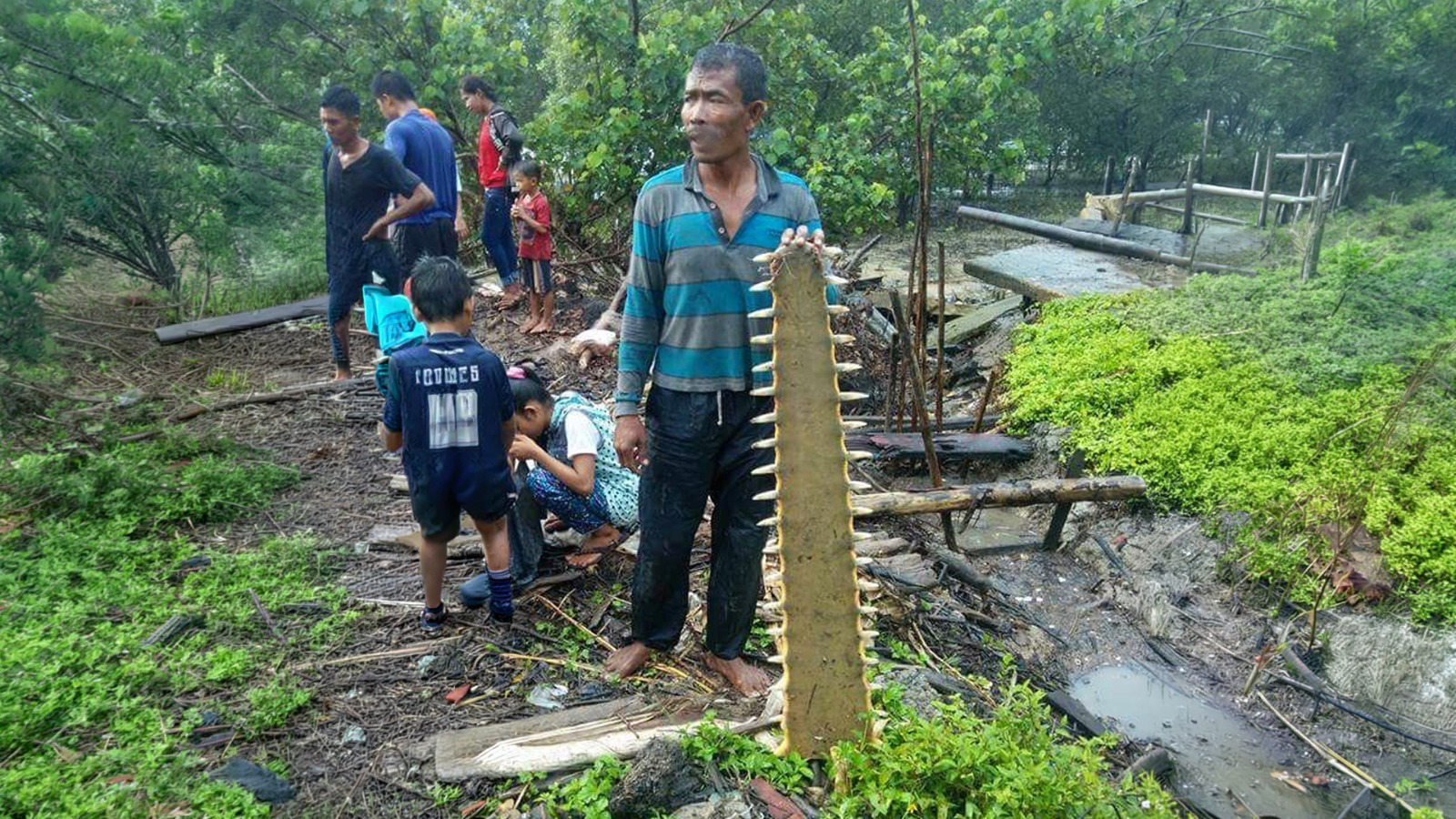 Opini: Nasib Pari Gergaji di Hari Bumi