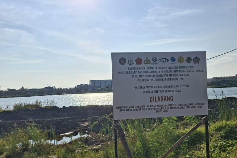 Desakan Pemulihan Pasca Satgas Segel Kawasan Hutan Lindung di PIK 2