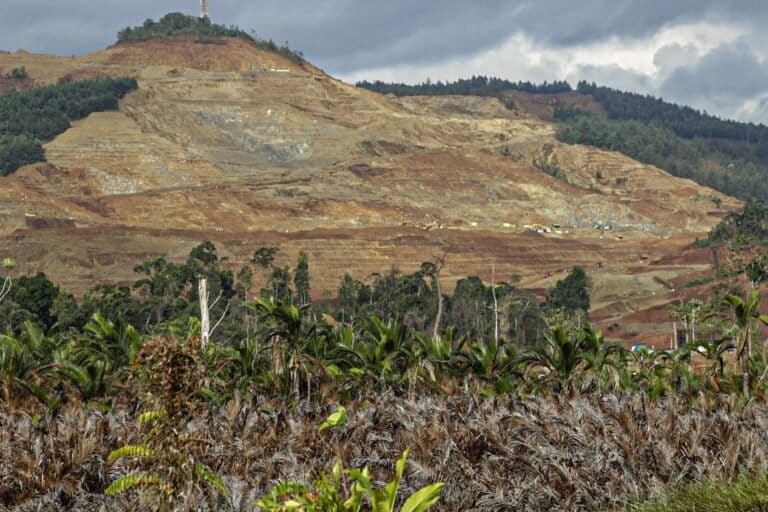 Nasib Hutan Sagu Ketika Industri Nikel Masuk Pulau Obi [1]