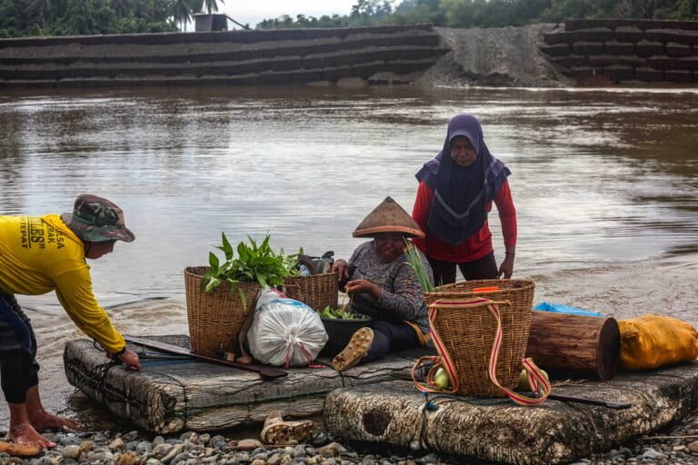 Nasib Hutan Sagu Ketika Industri Nikel Masuk Pulau Obi [1]
