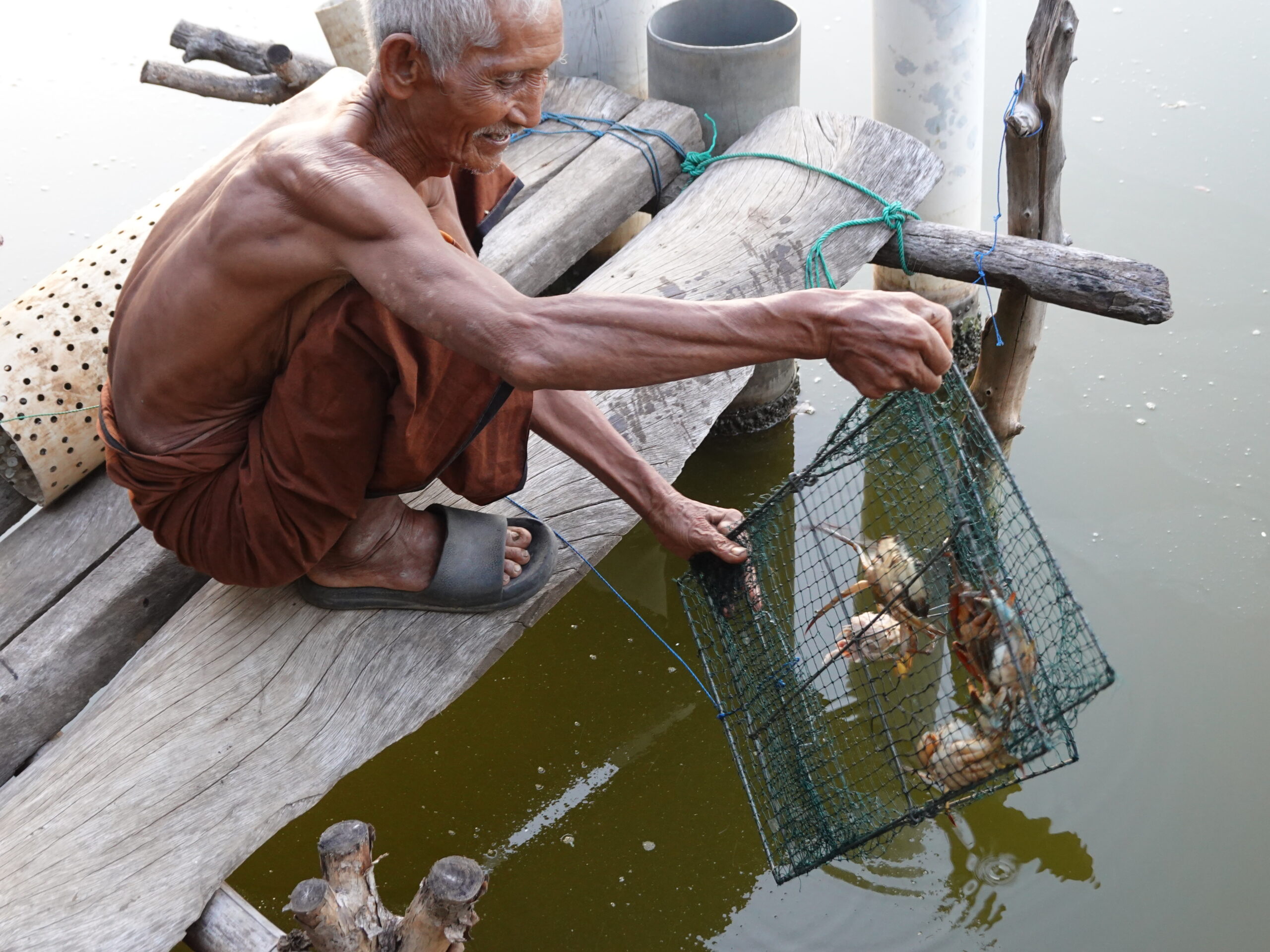 Hidupi Warga Pesisir Lombok, Mengapa Kepiting Bakau Minim Perhatian?