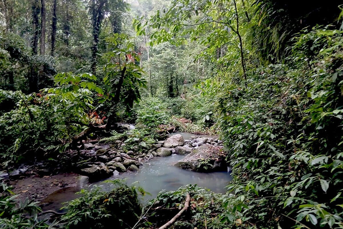 Batu Berkamar, Jejak Peradaban Megalitik di Taman Nasional Bogani Nani Wartabone