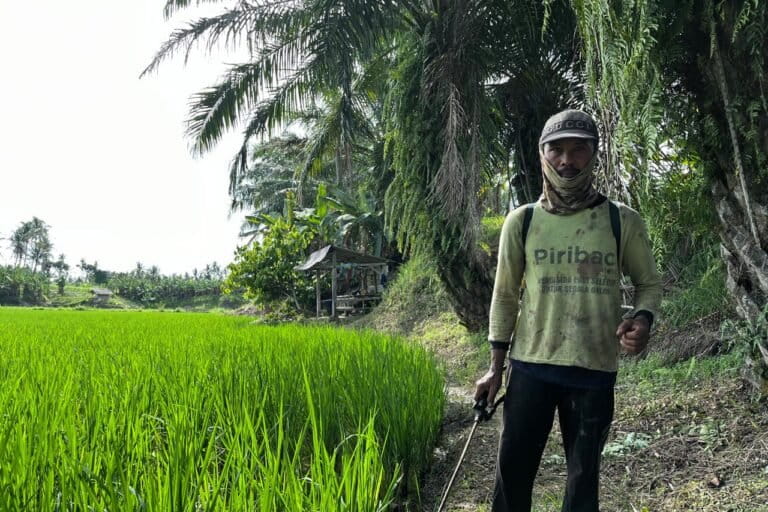 Nasib Petani Way Pisang di Tengah Rencana Pembangunan Rindam XXI