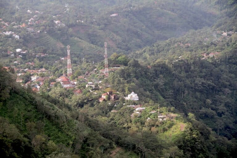Pakis Ekor Monyet, Tumbuhan Unik di Gunung Muria