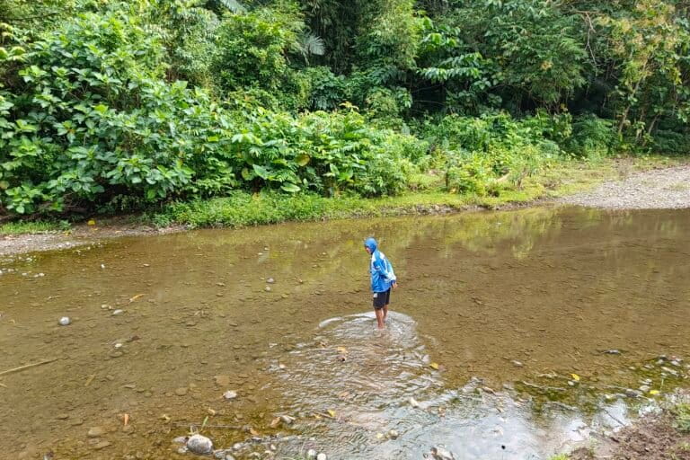 Yansong, 64 tahun, menyeberangi sungai menuju kebunnya di kampung Baba, Kecamatan Cendana, yang menjadi lokasi pengambilan sampel emas CV.Hadaf Karya Mandiri. Foto: Eko Rusdianto/Mongabay Indonesia