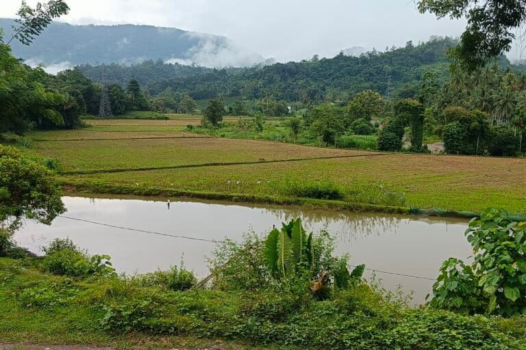 Ketika Warga Enrekang Bertahan, Tak Mau Ada Tambang Emas