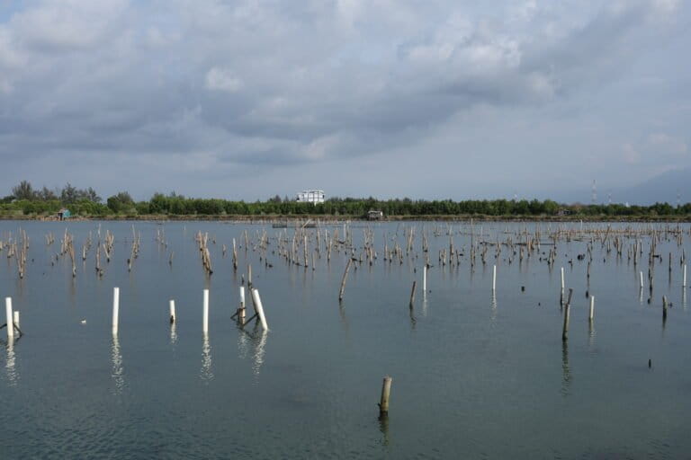 Mangrove di pesisir Pantai Alue Naga menjadi buffer zone antara permukiman dan tambak masyarakat di Kota Banda Aceh. Foto: Nurul Hasanah/Mongabay Indonesia