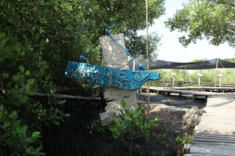 Mangrove Park Lampulo, Banda Aceh, yang berdiri di atas lahan milik negara dan merupakan bagian dari kawasan Pelabuhan Perikanan Samudera Kutaraja, dialokasikan sebagai ruang terbuka hijau (RTH), luasnya mencapai 11 hektare. Foto: Nurul Hasanah/Mongabay Indonesia