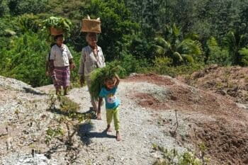 Perempuan adat Boti (Taela Sae, Muke Benu, Seo Neolaka, Kuma Neolaka) sedang membawa hasil panen berupa jagung, kacang tunis, sorgum, dan sayur-sayuran segar. Foto: Mario Sara/ Mongabay Indonesia