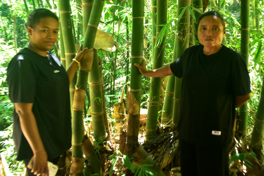 Upaya Mama-mama Manggarai Berdaulat Pangan sampai Konservasi Lahan