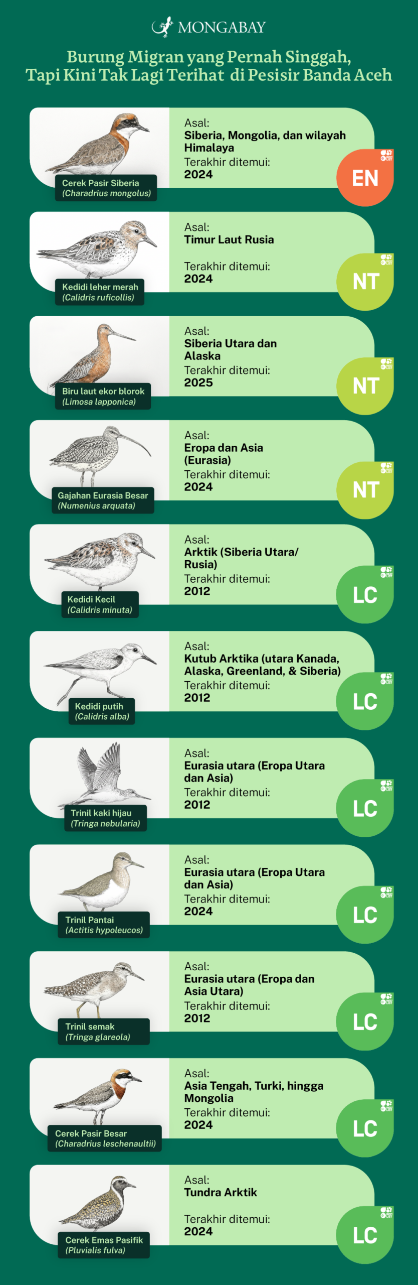 Grafis Burung Migran di Pesisir Aceh. Data diolah dari berbagai sumber oleh Nurul Hasanah. Design: Niko Wicaksana