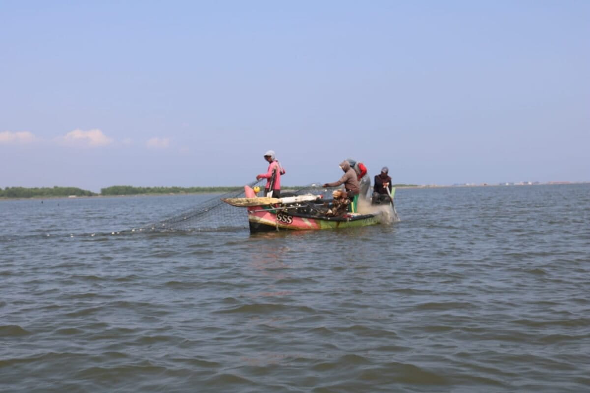 Nelayan Muara Gembong menangkap udang dan menjualnya ke wilayah Cilincing dan Jakarta Utara. Foto: Indah Suci Safitri/ Mongabay Indonesia