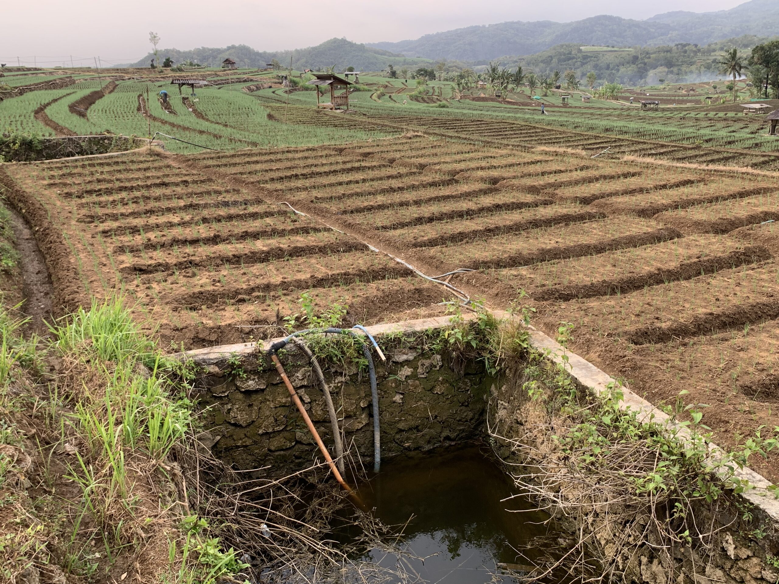 Embung Hujan, Cara Petani Bantul Hadapi Kekeringan