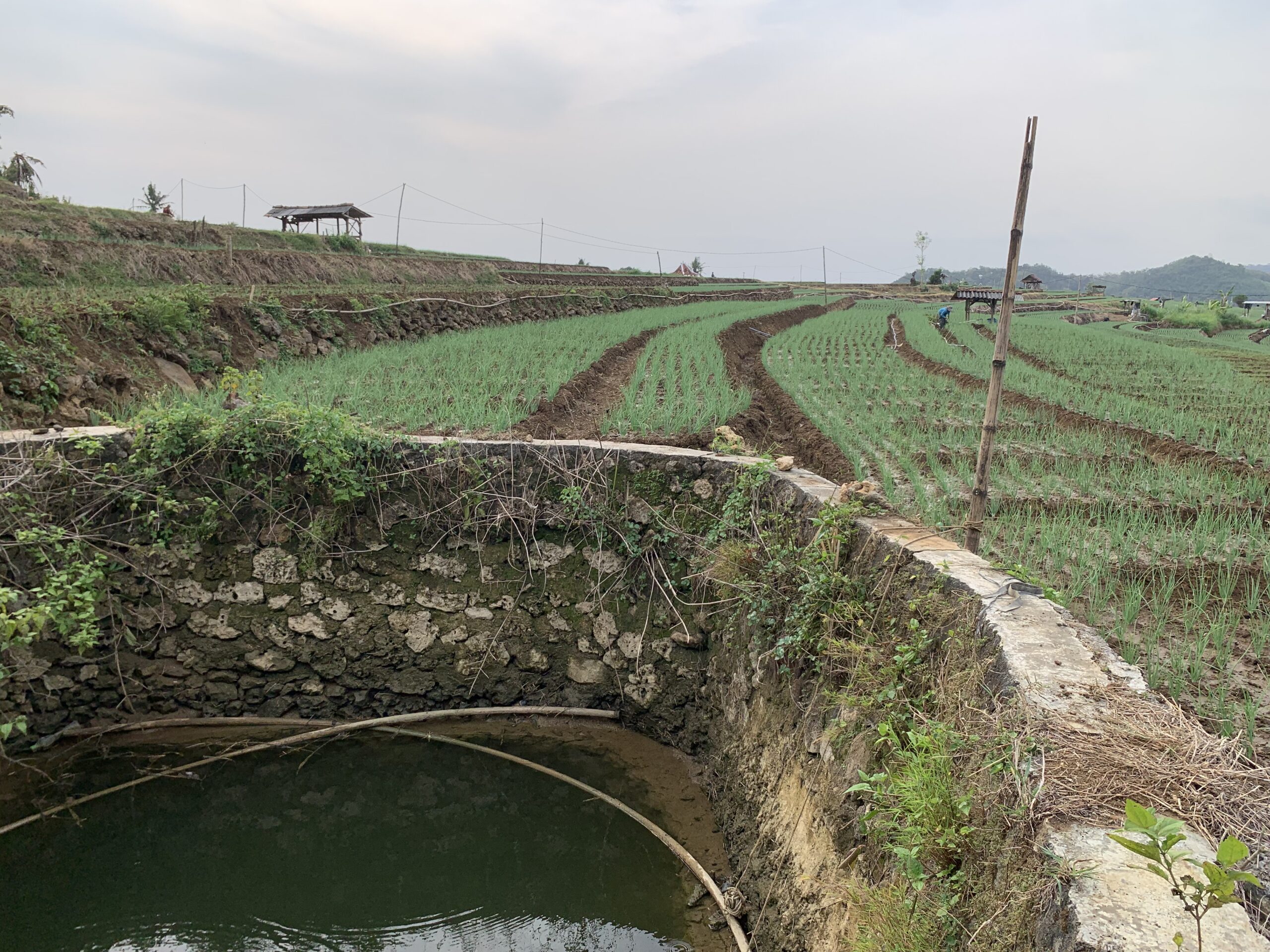 Embung Hujan, Cara Petani Bantul Hadapi Kekeringan