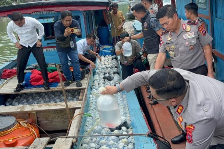 Polda Sumbar Sita Ribuan Ikan Endemik Mentawai