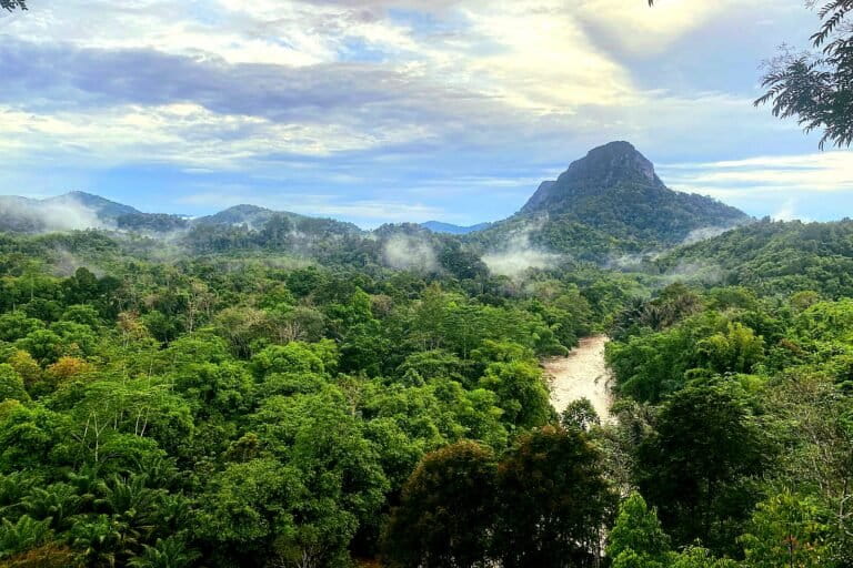 Cerita Masyarakat Loksado Bergantung Hidup dari Jaga dan Kelola Hutan Meratus