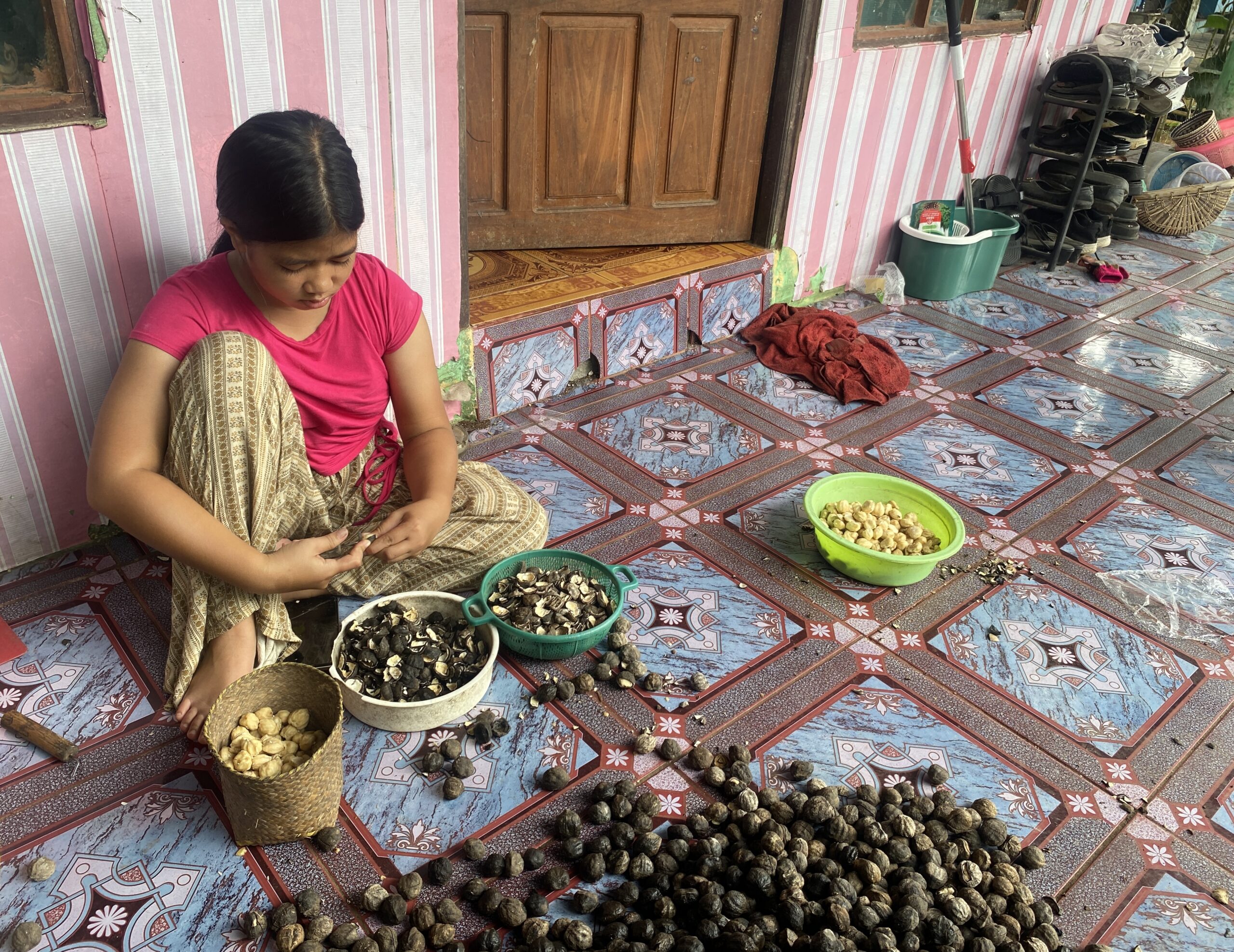 Agroforestri Loksado: Bukti Nyata Masyarakat Adat Meratus Mampu Jaga Hutan dan Ekonomi