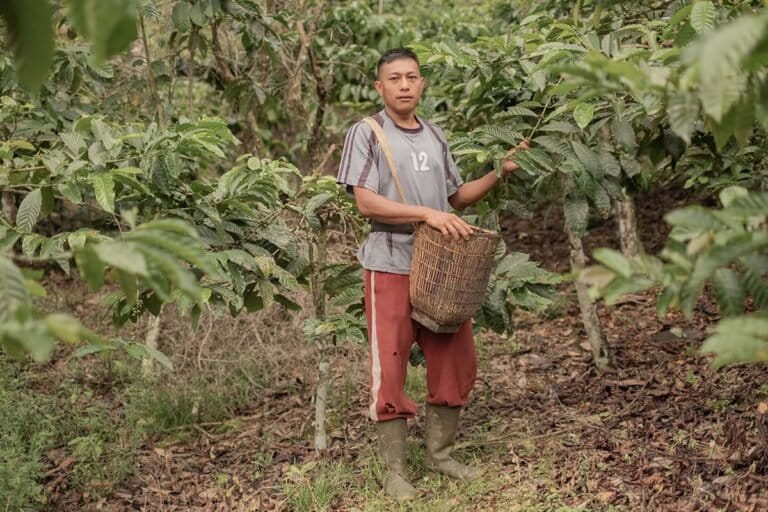 Menjaga Semantung untuk Kelestarian Siamang di Bukit Lumut Balai