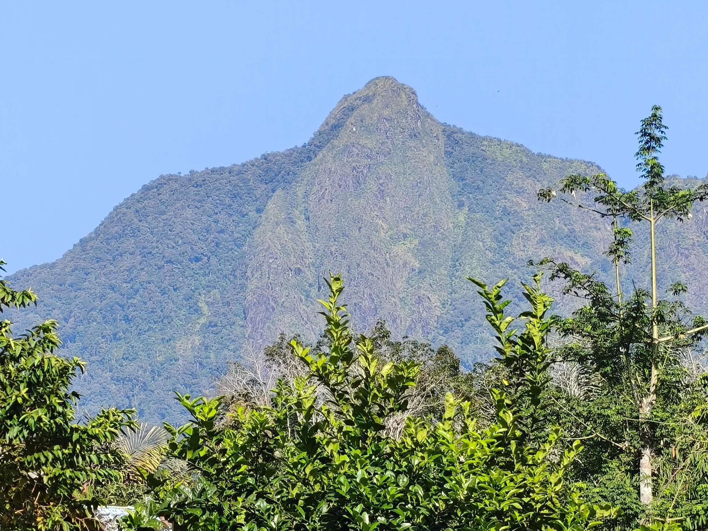 Gunung Halau-Halau Ditutup: Antara Sakralitas Alam dan Kontroversi Ekonomi