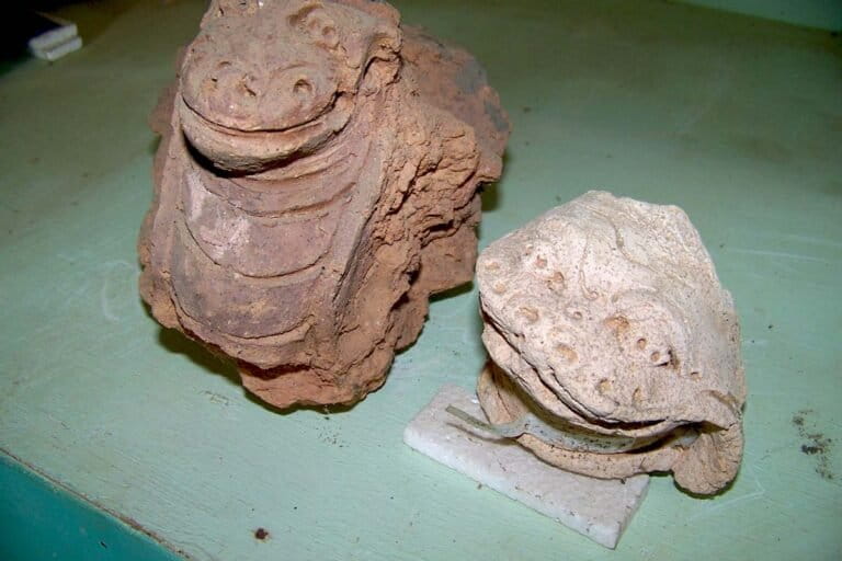 Jejak Flora dan Fauna di Relief Candi Bumiayu