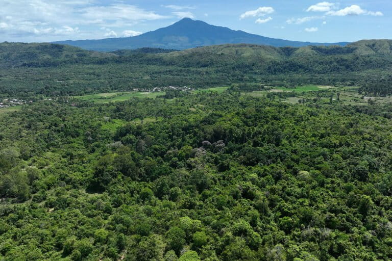 Opini: Aceh dan Lahirnya Hutan Wakaf