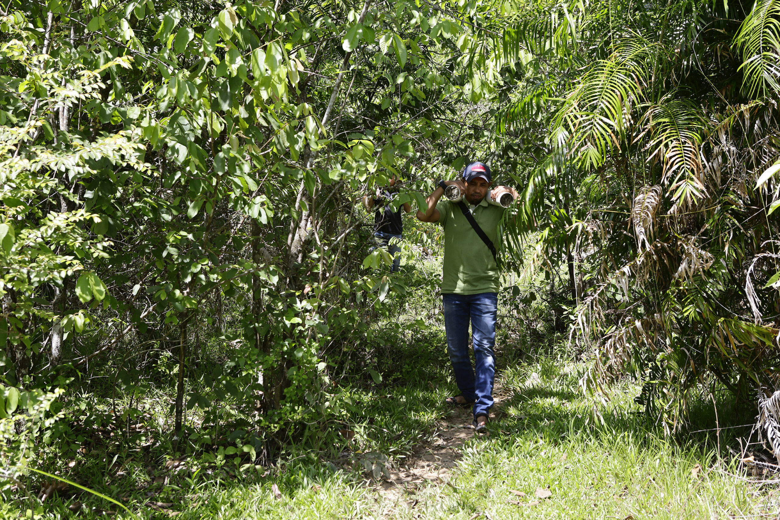 Hutan Wakaf: Ketika Warga Bergerak Menyelamatkan Alam dari Ancaman Alih Fungsi