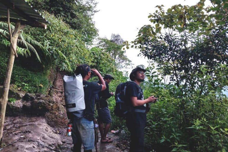 Kicau Burung Pleci yang Perlahan Lenyap di Hutan Muria
