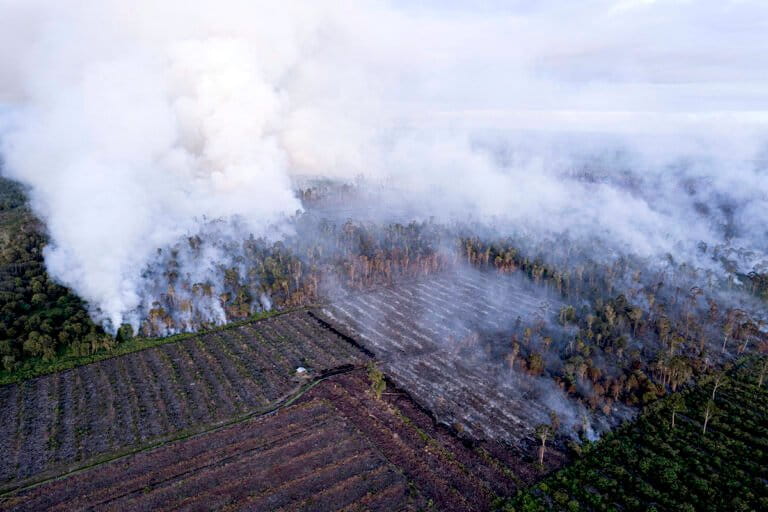 Hutan Gambut Rawa Tripa Terbakar Lagi