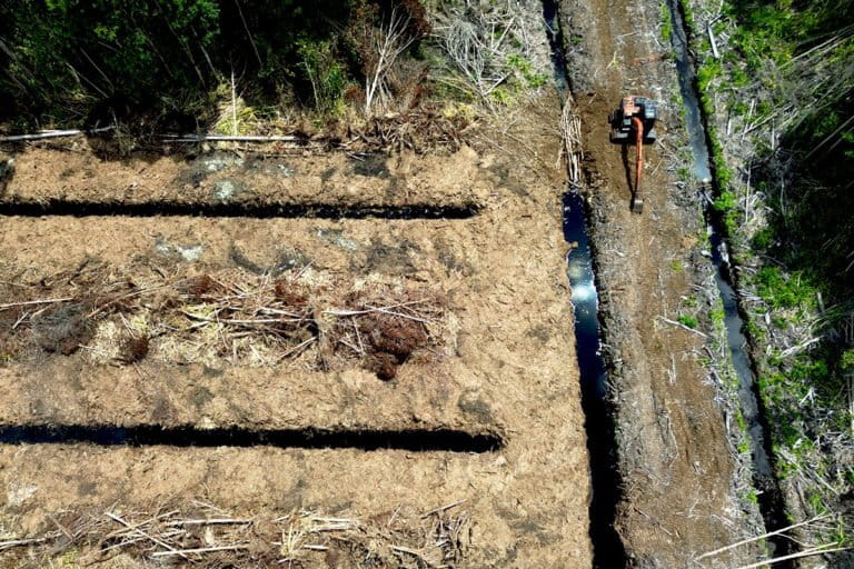Hutan Gambut Rawa Tripa Terbakar Lagi