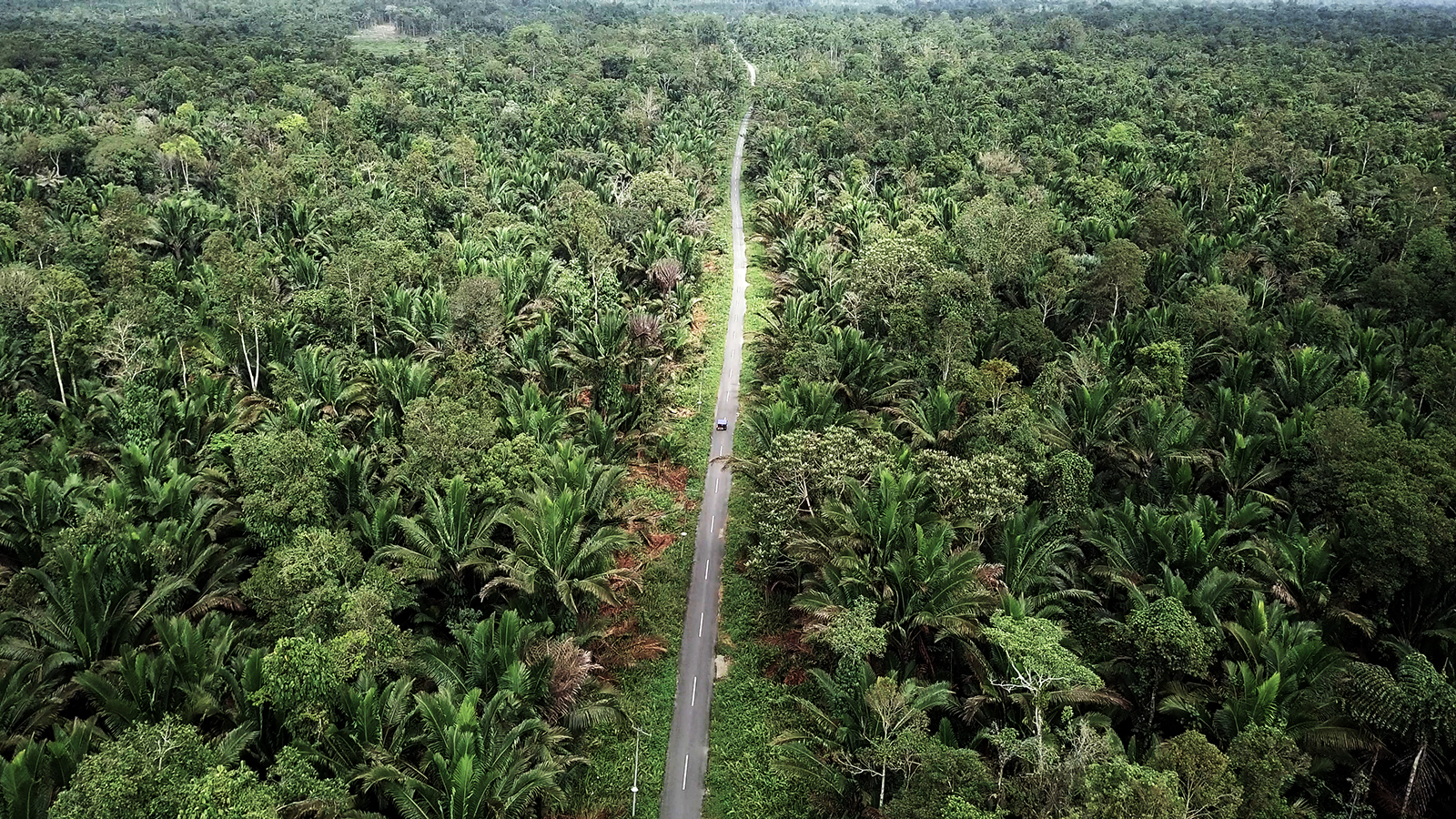 drone sagu kabupaten mimika 2 size kecil