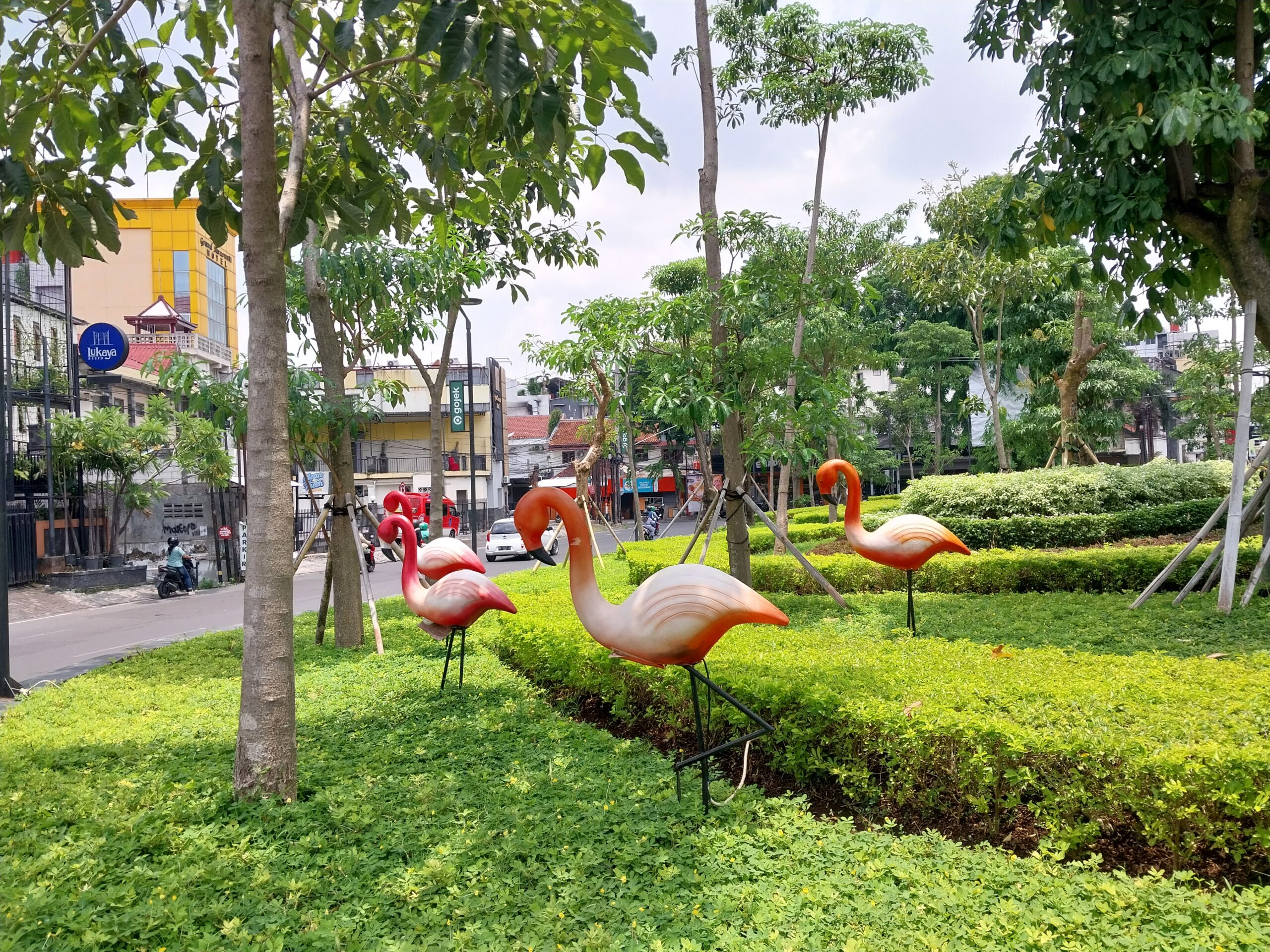 Mengapa Burung Kuntul Srondol, Ikon Semarang Nyaris Tinggal Kenangan?