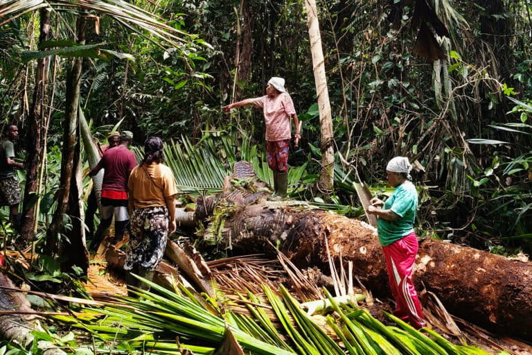 Sagu Simbol Kedaulatan Pangan Indonesia