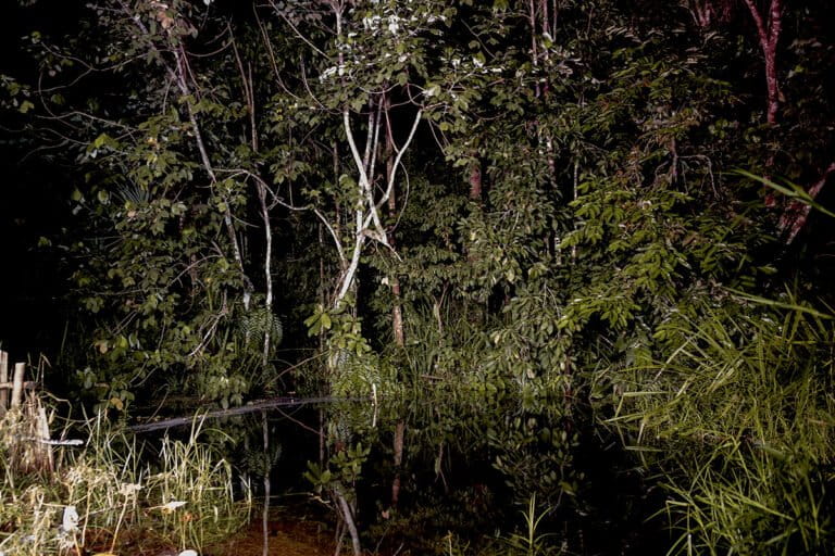 Paye dan Jongot, Cara Masyarakat Tempirai Jaga Lahan Basah Sumatera Selatan