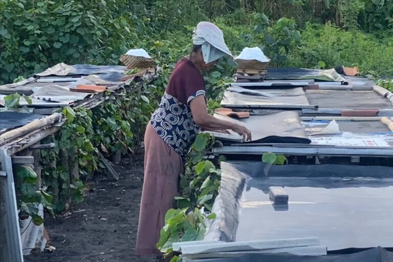 Hadapi Berbagai Tantangan, Garam Kusamba Terancam Punah