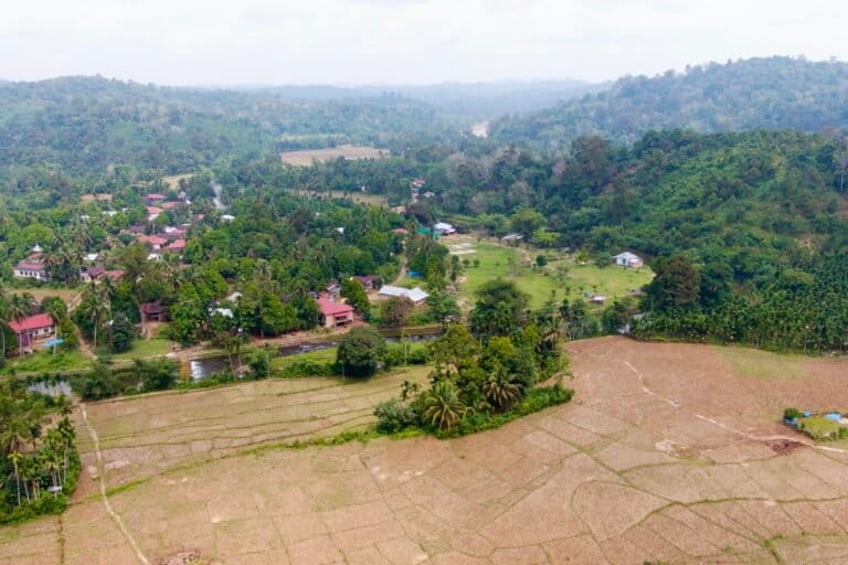 Hutan di Desa Lubuk Beringin, Kecamatan Bathin III Ulu, Kabupaten Bungo yang masuk wilayah intervensi BioCF.dok.FWI