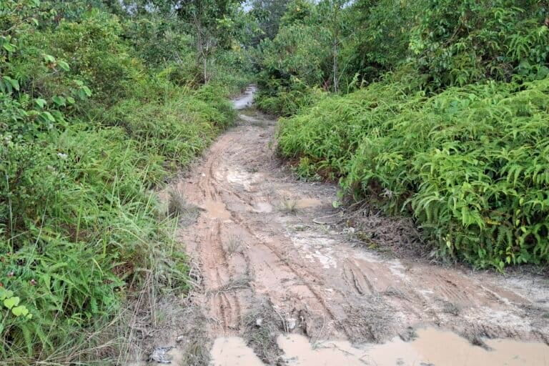 Usul Proyek PLTU Batubara Mangkrak Riau jadi Pembangkit Surya dan Mini Hidro
