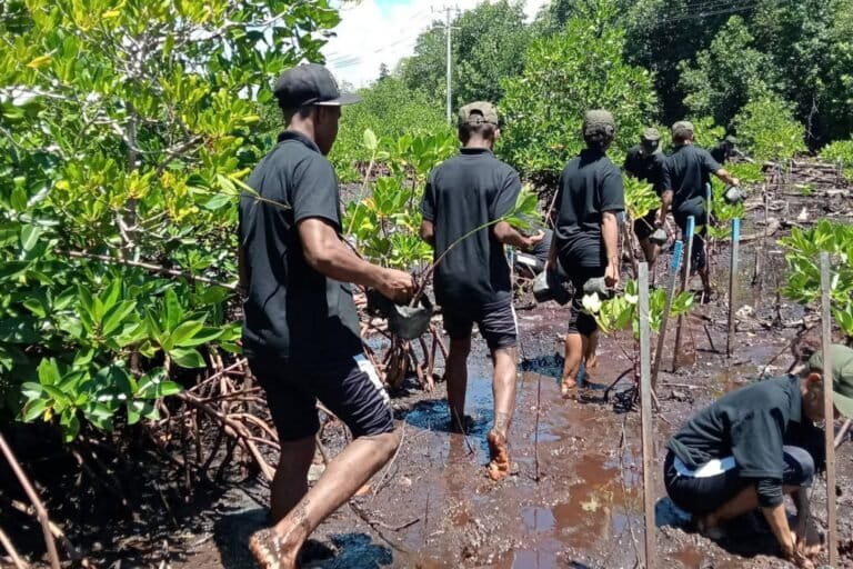 Sejumlah Pemuda membawa bibit pohon mangrove untuk tanam ulang mangrove di kawasan hutan perempuan, di Kampung Enggros, Kota Jayapura, Papua. Foto: Dokumentasi Petronela Merauje. 